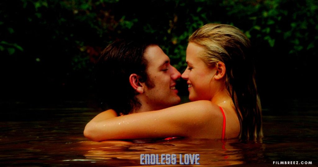 Movies like THe last song Endless love 2014